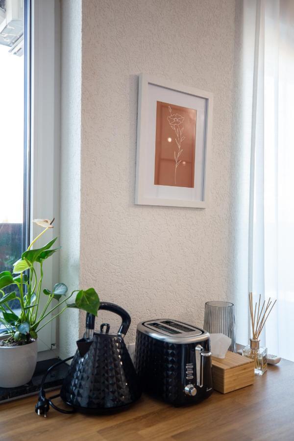 Unique City View Apartment Balcony & Parking Space クルージュ＝ナポカ エクステリア 写真