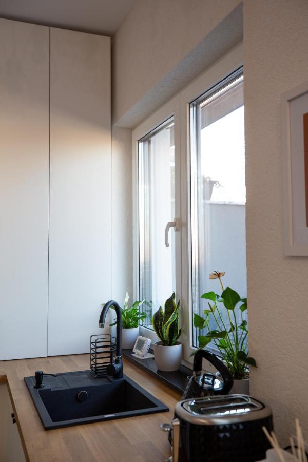 Unique City View Apartment Balcony & Parking Space クルージュ＝ナポカ エクステリア 写真